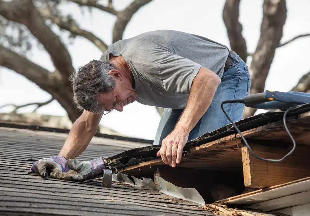 Can't find your roof leak?