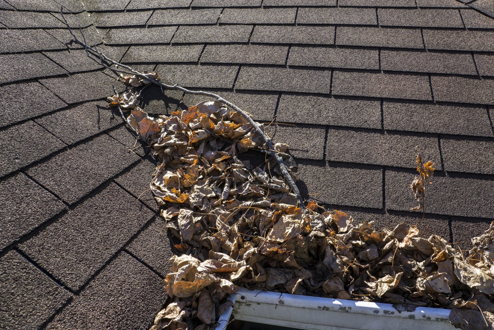 Cleaning Your Roof Debris - Roofmaster Ottawa