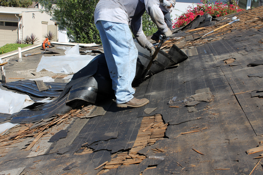 Signs you may need to replace your roof.