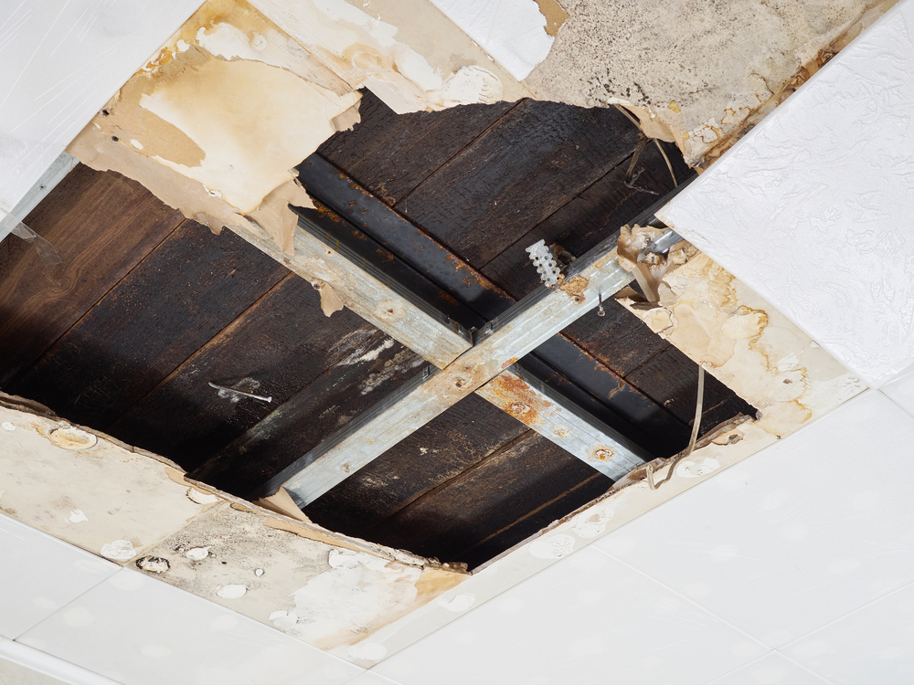 How to Determine If A Leaking Roof Caused Your Water Damage