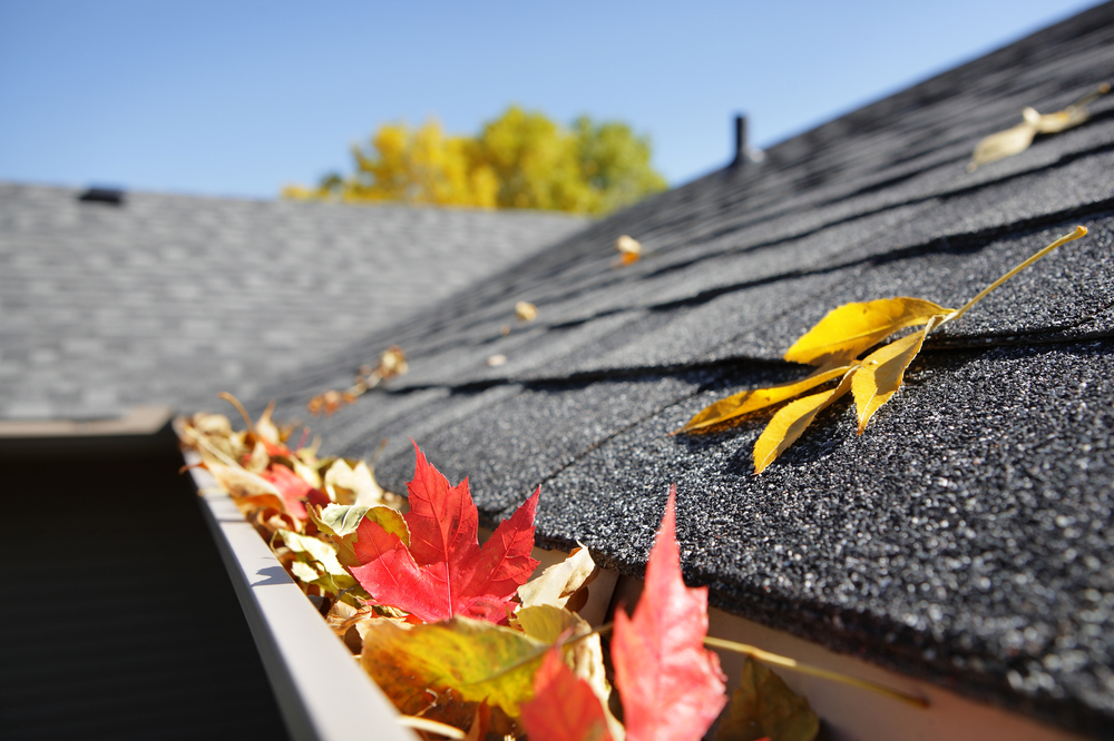 How to Keep Your Roof in Top Shape