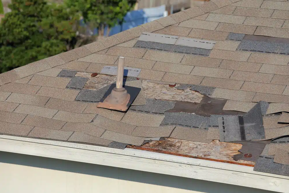 Shingles missing from roof