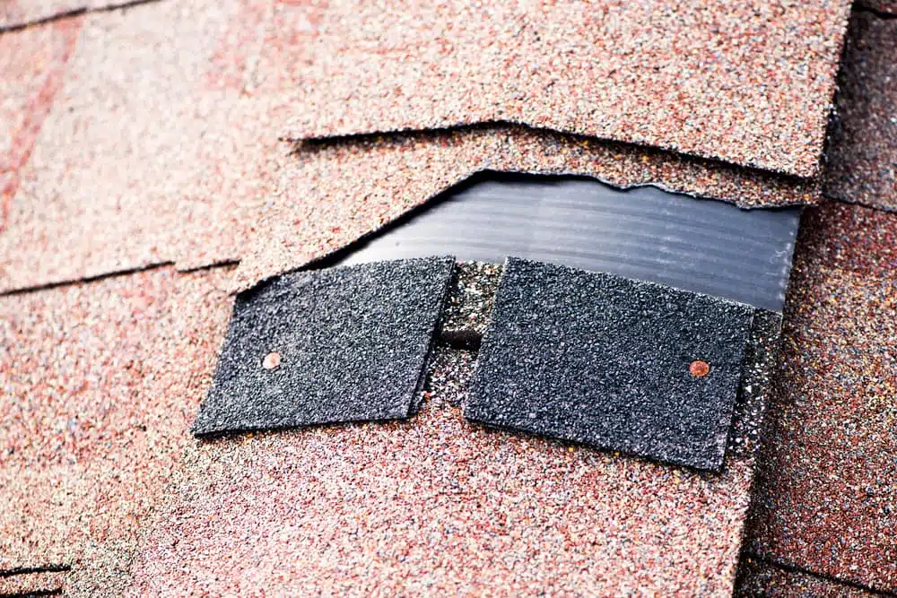 5 Common Issues with Roofing Every Homeowner Should Know