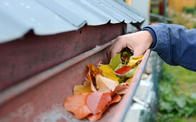 3 Fall Maintenance Tips for Your Roof