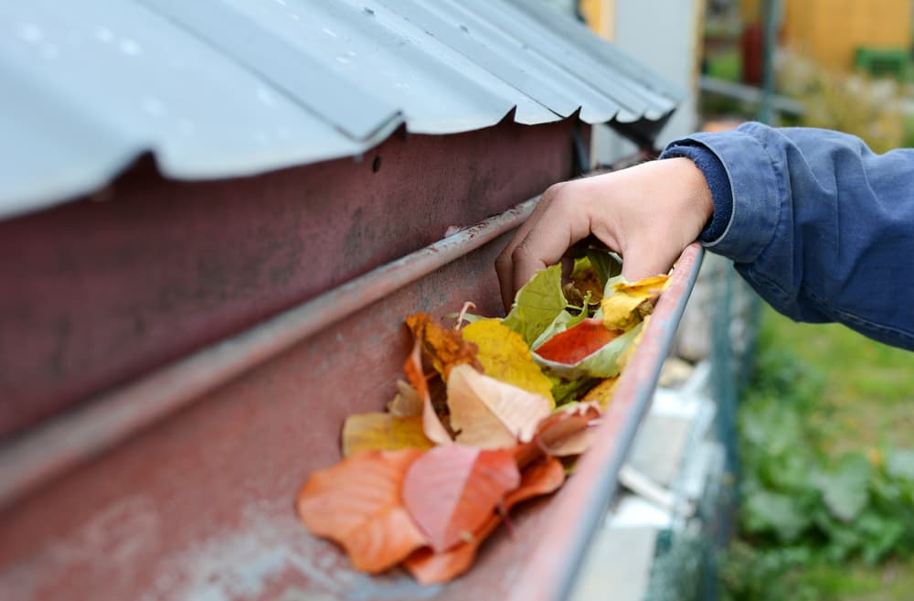 3 Fall Maintenance Tips for Your Roof