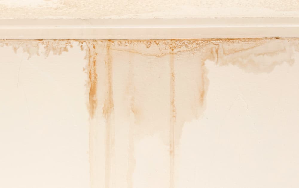 Is Condensation Causing My Roof to Leak? How to Fix a Leaking Roof