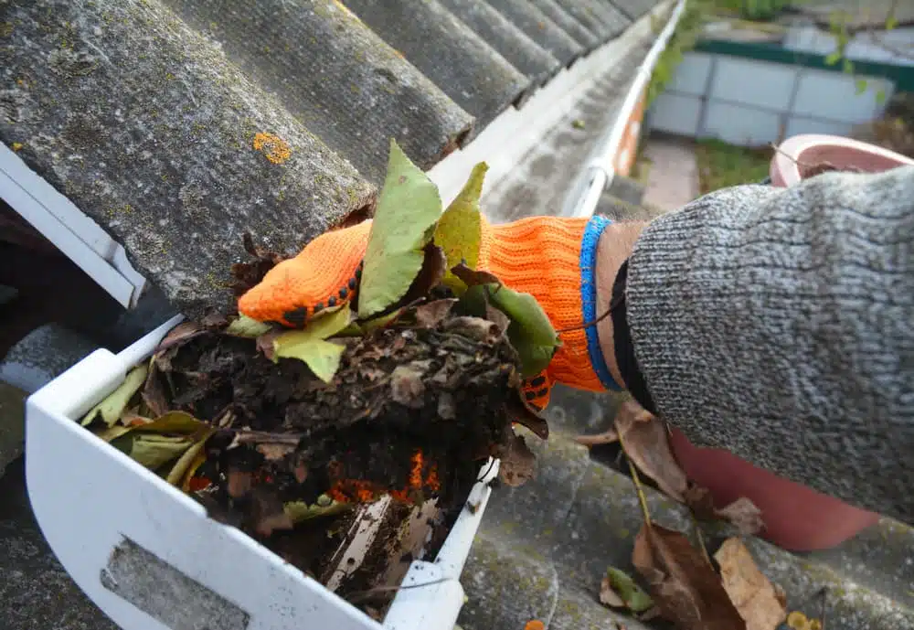 Can a Clogged Gutter Cause a Roof Leak